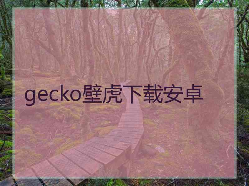 gecko壁虎下载安卓