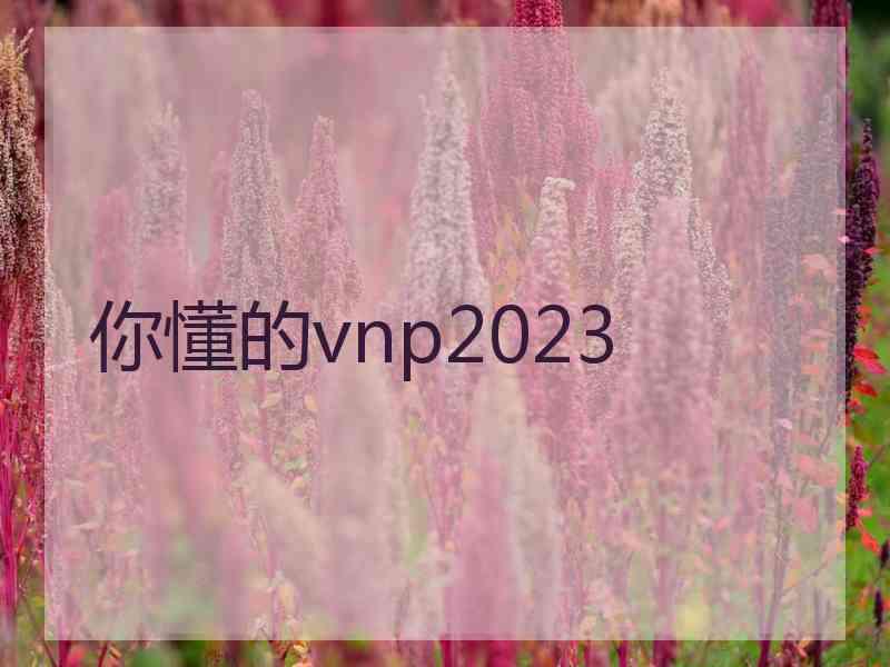 你懂的vnp2023