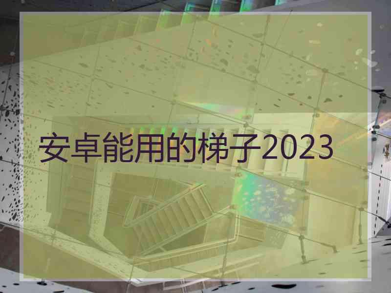 安卓能用的梯子2023