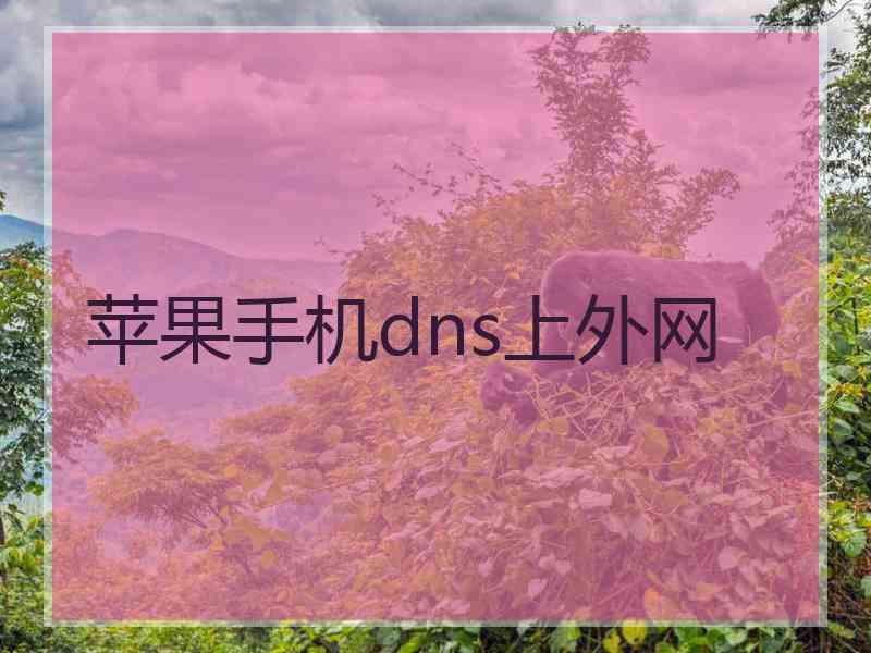 苹果手机dns上外网