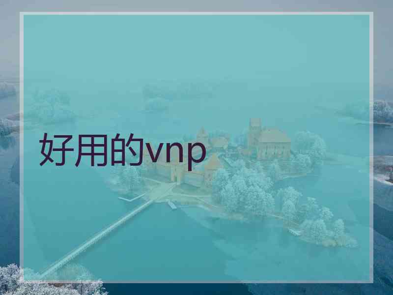 好用的vnp